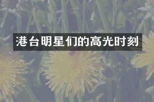 港台明星们的高光时刻