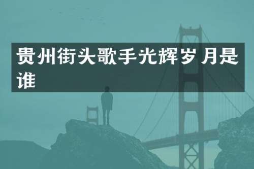 贵州街头歌手光辉岁月是谁
