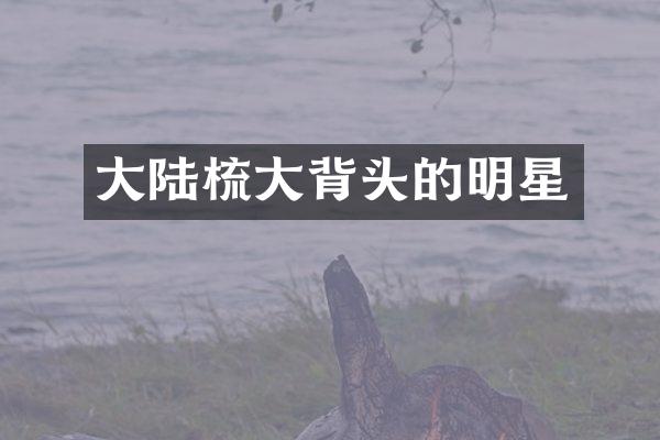大陆梳大背头的明星
