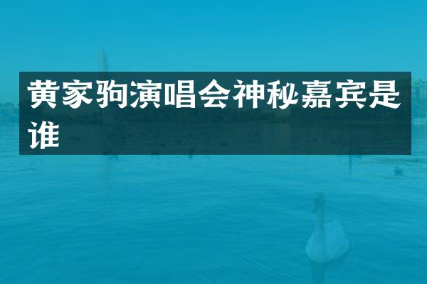 黄家驹演唱会神秘嘉宾是谁
