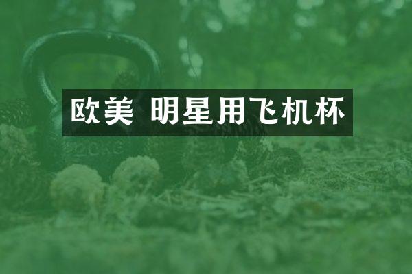 欧美 明星用飞机杯