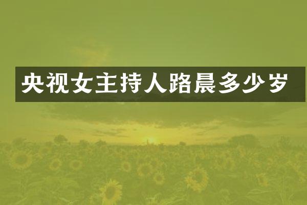 央视女主持人路晨