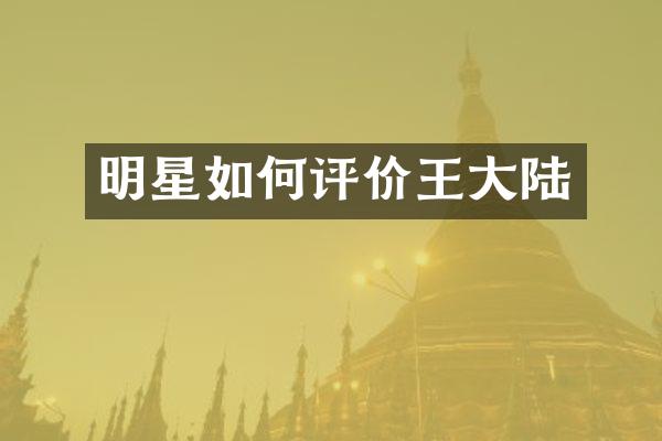 明星如何评价王大陆