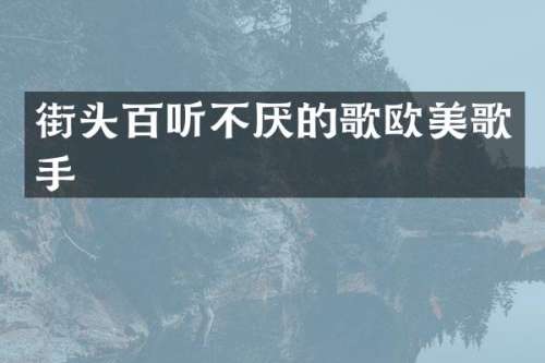 街头百听不厌的歌欧美歌手