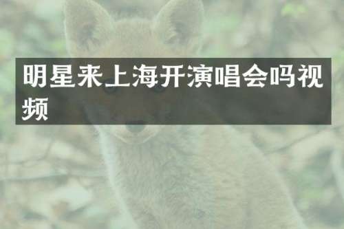 明星来上海开演唱会吗视频