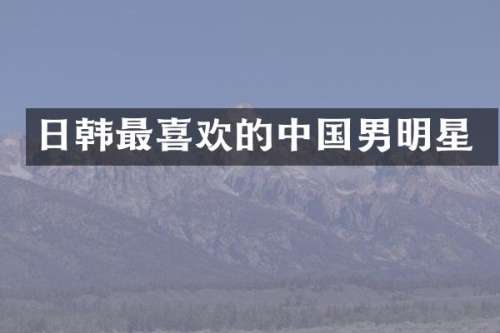 日韩最喜欢的中国男明星