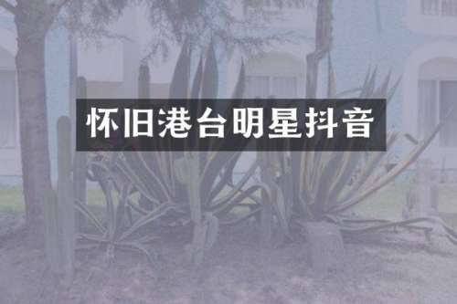 怀旧港台明星抖音