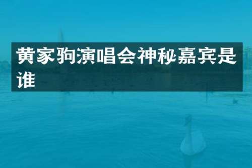 黄家驹演唱会神秘嘉宾是谁