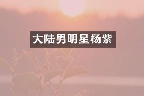 大陆男明星杨紫