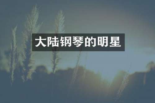 大陆钢琴的明星