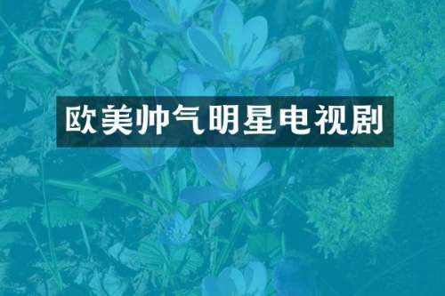 欧美帅气明星电视剧