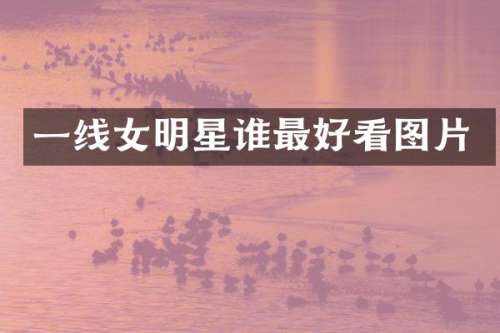 一线女明星谁最好看图片