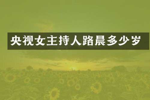 央视女主持人路晨