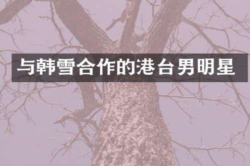 与韩雪合作的港台男明星