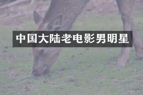 中国大陆老电影男明星