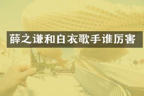 薛之谦和白衣歌手