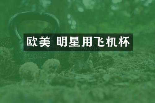 欧美 明星用飞机杯
