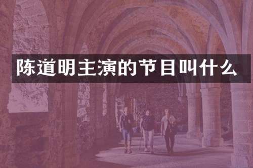 陈道明主演的节目叫什么