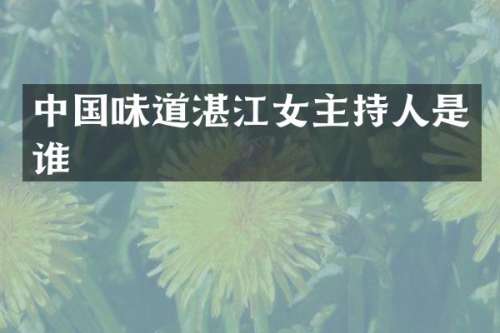 中国味道湛江女主持人是谁