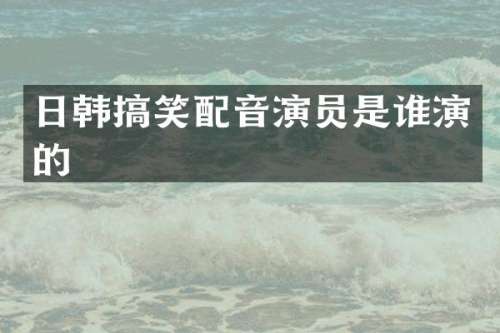 日韩搞笑配音演员是谁演的