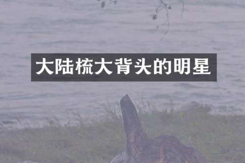 大陆梳大背头的明星