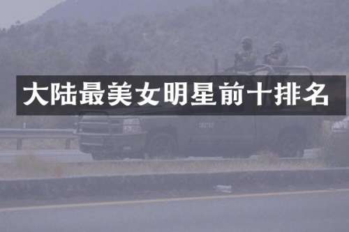 大陆最明星前十排名