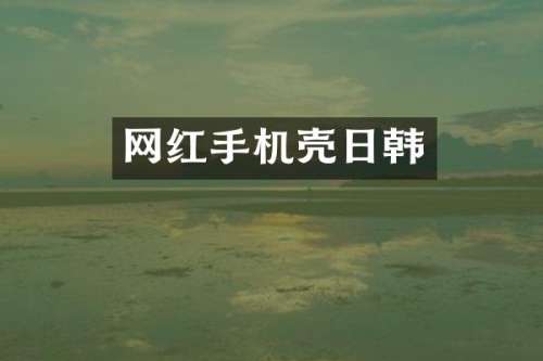 网红手机壳日韩