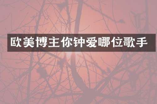 欧美博主你钟爱哪位歌手