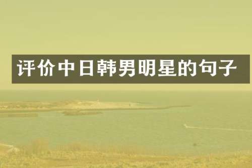 评价中日韩男明星的句子