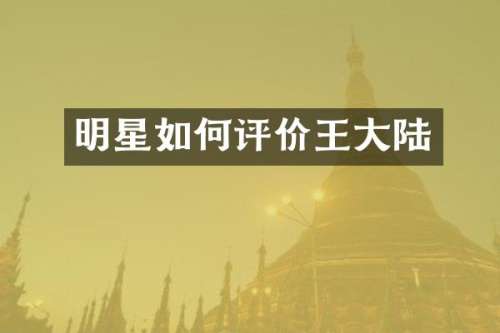明星如何评价王大陆