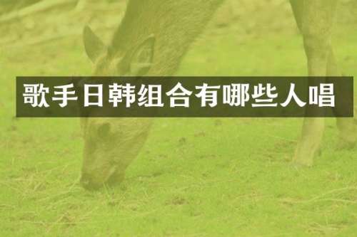 歌手日韩组合有哪些人唱