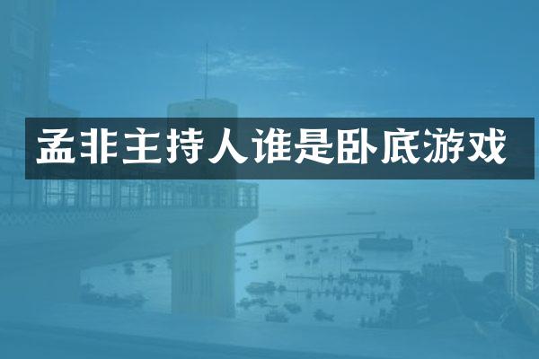 孟非主持人谁是卧底游戏