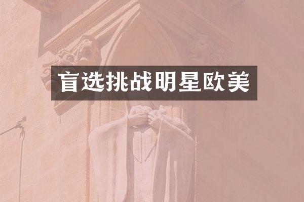 盲选挑战明星欧美