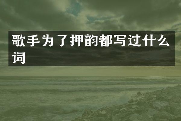 歌手为了押韵都写过什么词