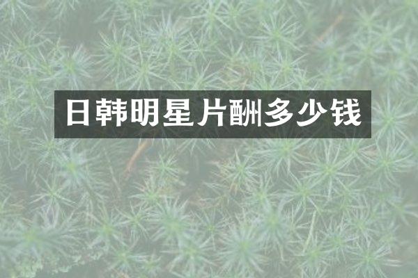 日韩明星片酬多少钱