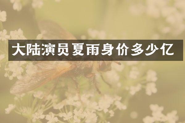 大陆演员夏雨身价多少亿