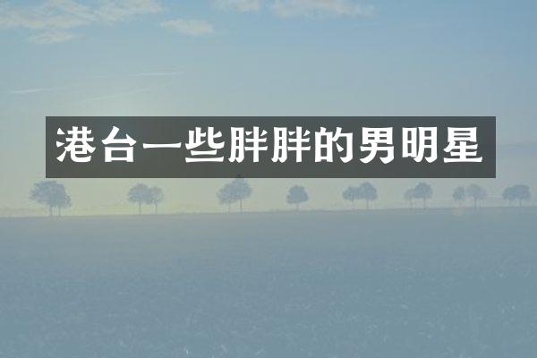 港台一些胖胖的男明星