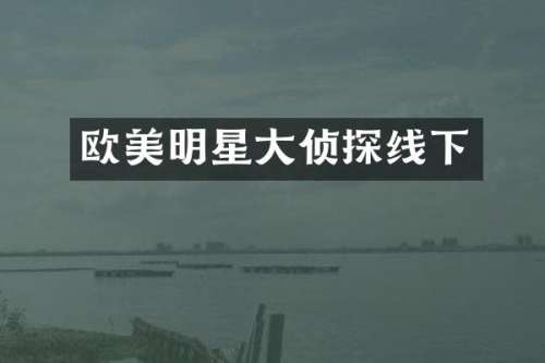 欧美明星大侦探线下