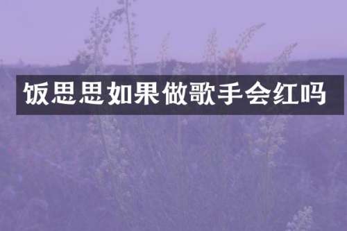 饭思思如果做歌手会红吗