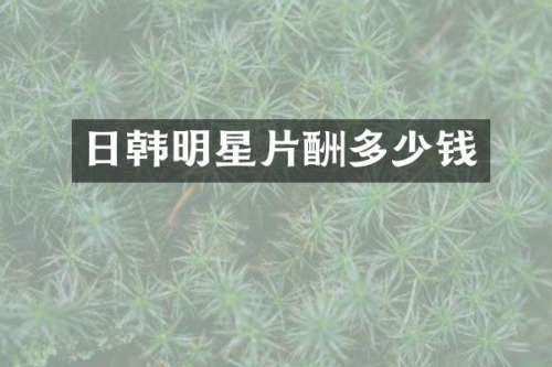 日韩明星片酬多少钱