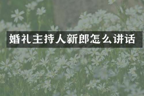 婚礼主持人新郎怎么讲话