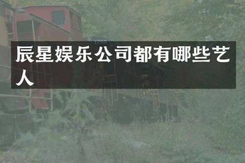 辰星娱乐公司都有哪些艺人
