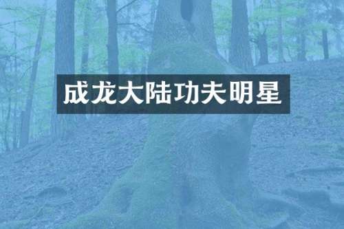 成龙大陆功夫明星
