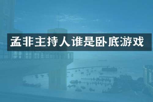 孟非主持人谁是卧底游戏