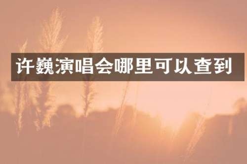 许巍演唱会哪里可以查到
