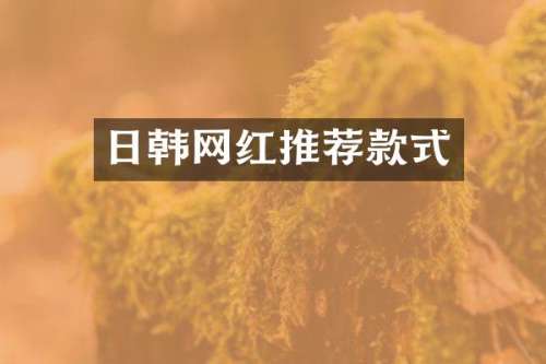 日韩网红推荐款式