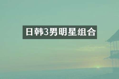 日韩3男明星组合