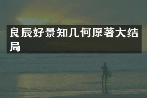 良辰好景知几何原著大结局