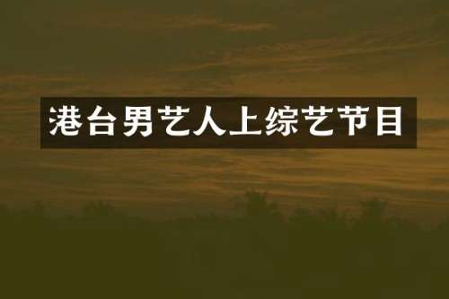 港台男艺人上综艺节目