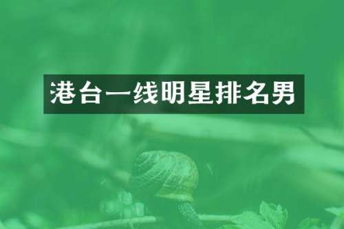 港台一线明星排名男